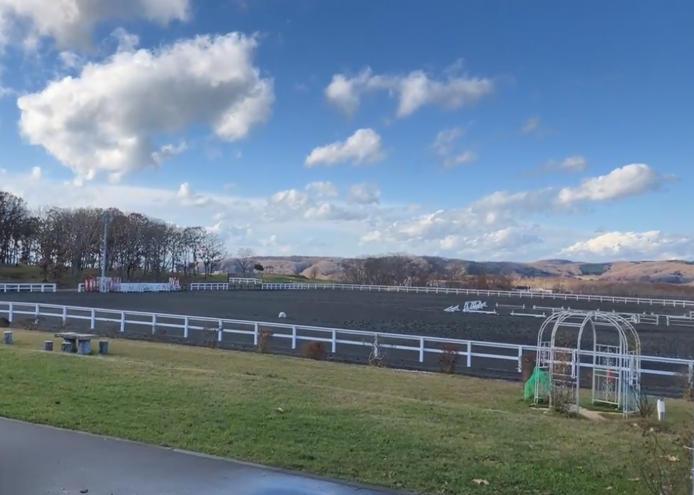 クラブハウスから見る広大な馬場