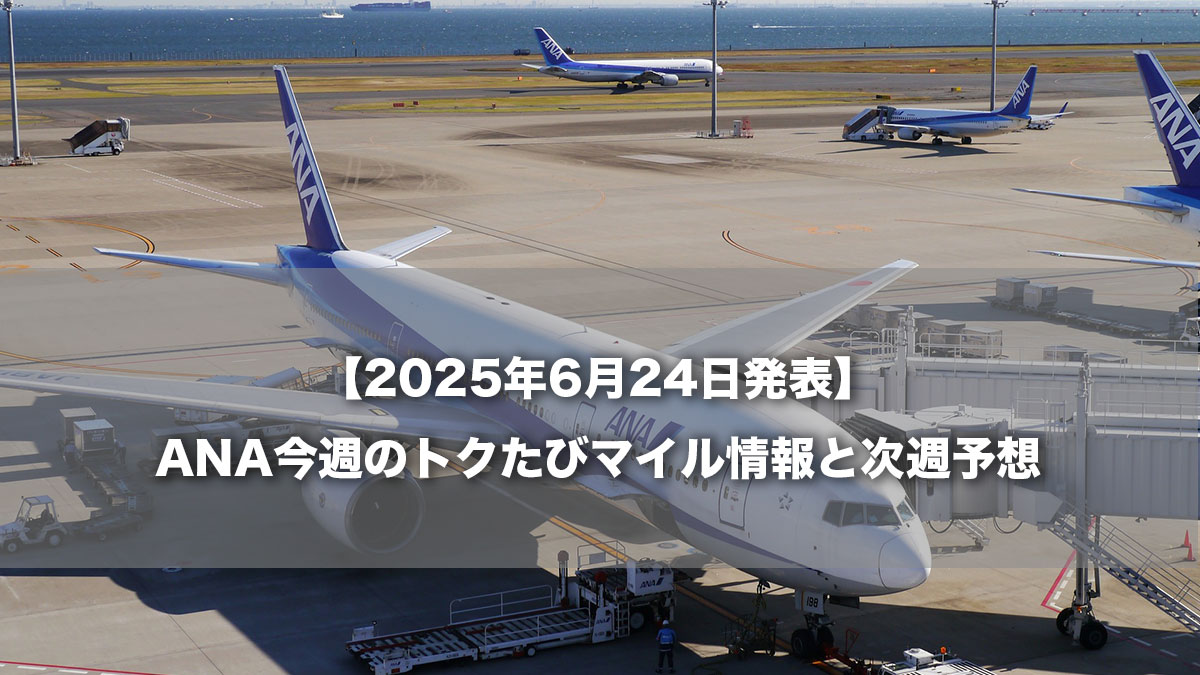 -空港に駐機するANA787