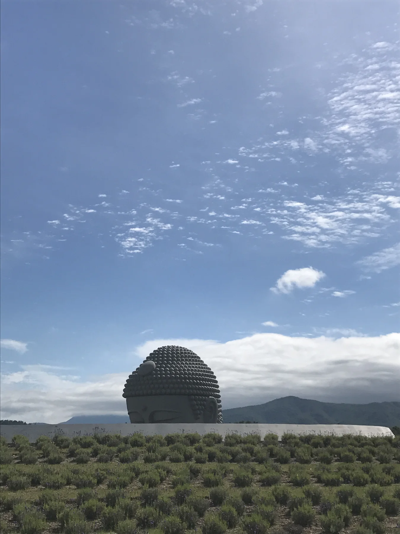 丘の向こうから頭部だけが見える頭大仏と青空