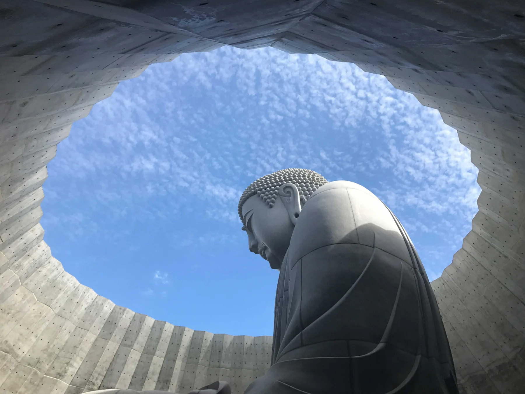 頭大仏殿の内部で見上げた大仏と円形の開口部